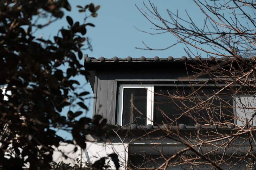 BC homes ma roof leaks na common causes — damaged shingles, flashing problems, clogged gutters ane poor drainage.